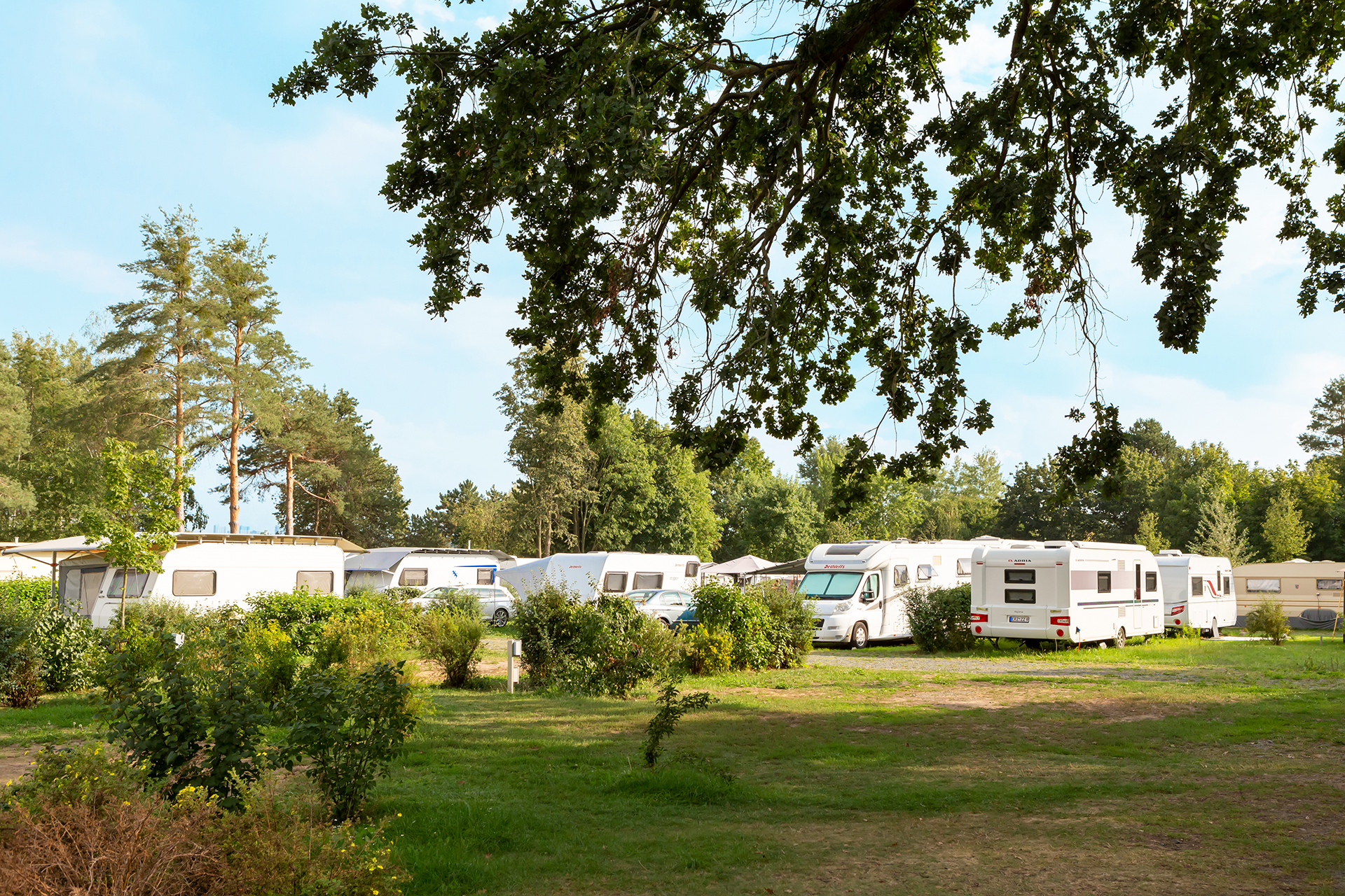 Wohnmobilstellplatz Pirna nahe Sächsische Schweiz