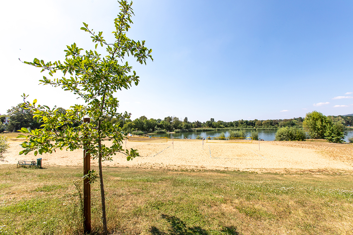 Beachvolleyballfelder am Natursee Pirna-Copitz