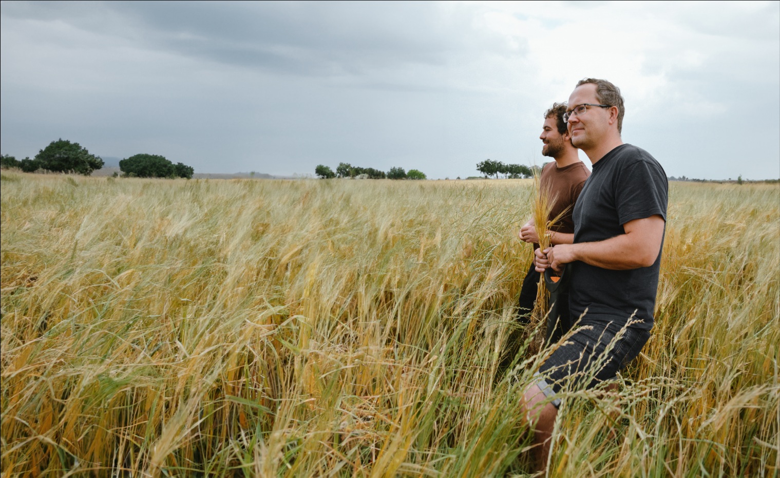 Zwei Männer laufen durch ein hohes Feld.